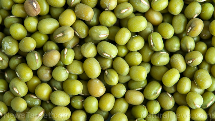 Mung-Beans.jpg
